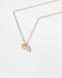 SARAHLI - Ted Baker Outlet Jewellery