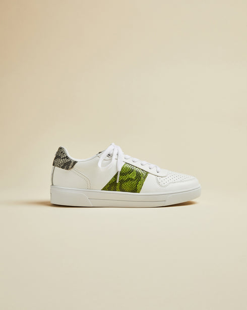 COPPIRR - Ted Baker Outlet Sneakers