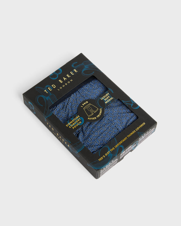 <P>Sky Captain Teray Single Trunk</P>