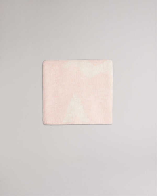 ASLIEE - Ted Baker Scarves