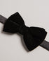 CONNERI - Ted Baker Ties